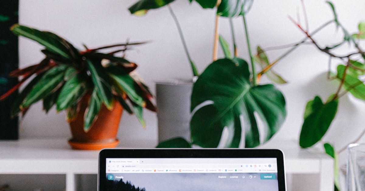 Building a Freelancer Management Platform: Technical Deep Dive